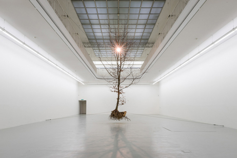 Henrik Håkansson, A Tree (Suspended), 2016, Kunstverein Freiburg, 2016,
Courtesy der Künstler, Galerie Meyer Riegger, Karlsruhe / Berlin, The Modern Institute, Glasgow, Galleria Franco Noero, Turin,
Foto: Marc Doradzillo