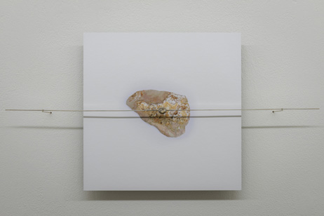 Letizia Romanini, SUISEKI, 2015, Installationsansicht Kunstverein Freiburg, 2016, Foto: Marc Doradzillo.