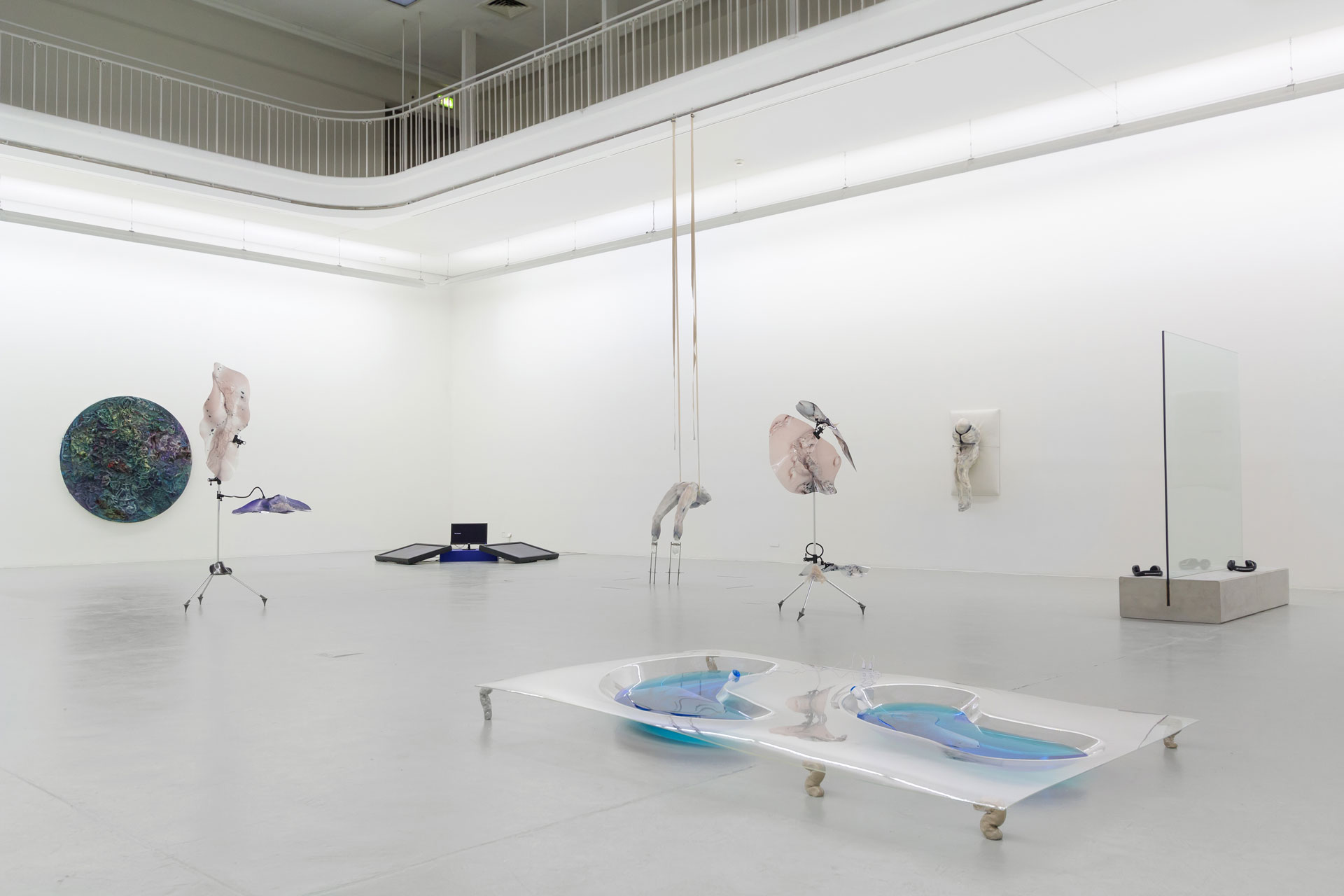 Immortalism, Installation view, Kunstverein Freiburg, Photo:Marc Doradzillo