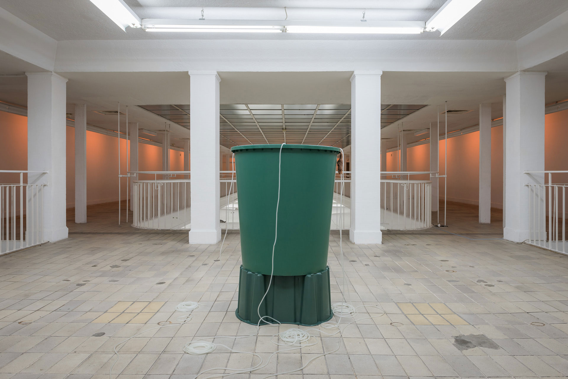 Liquid Fertilizer, Regionale 18, Kunstverein Freiburg